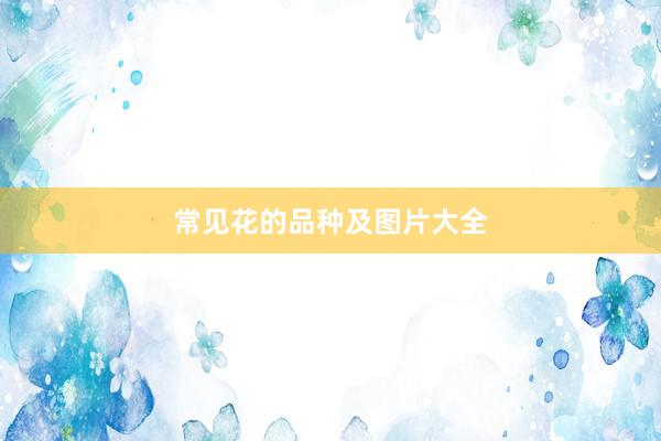 常见花的品种及图片大全