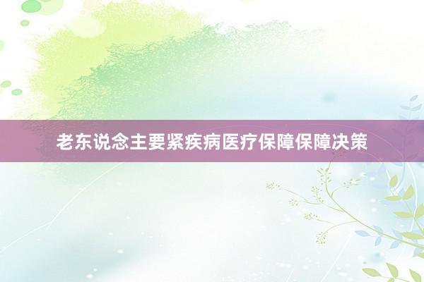 老东说念主要紧疾病医疗保障保障决策