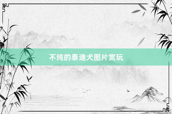 不纯的泰迪犬图片赏玩