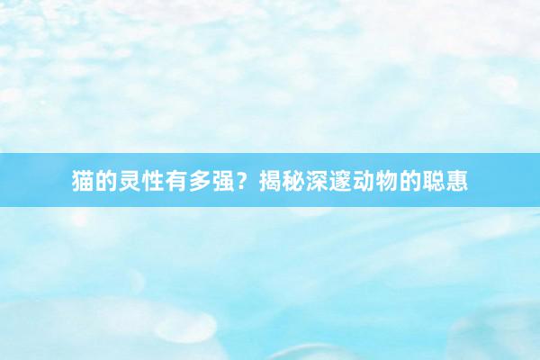 猫的灵性有多强？揭秘深邃动物的聪惠