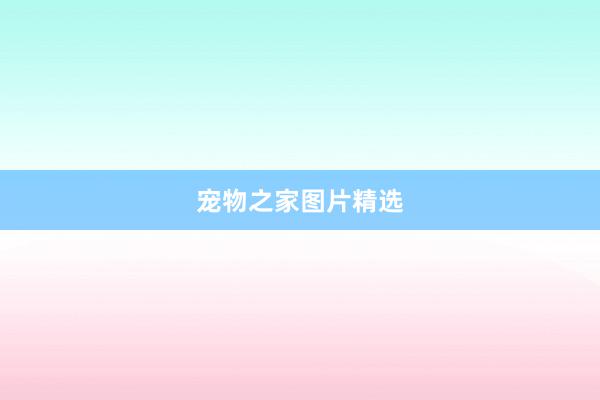 宠物之家图片精选