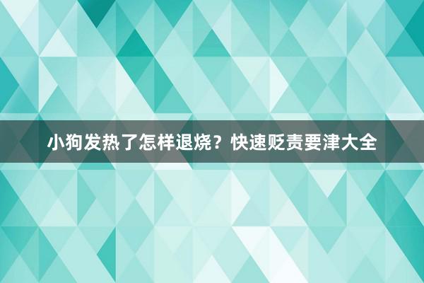 小狗发热了怎样退烧？快速贬责要津大全